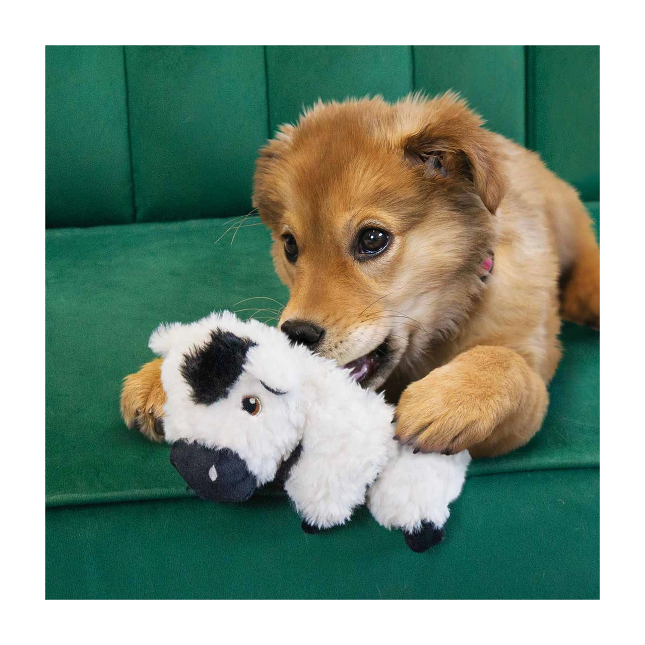 KONG Comfort Tykes Cow S 19 x 14 x 10 cm - hundebamse med aftagelig lyd